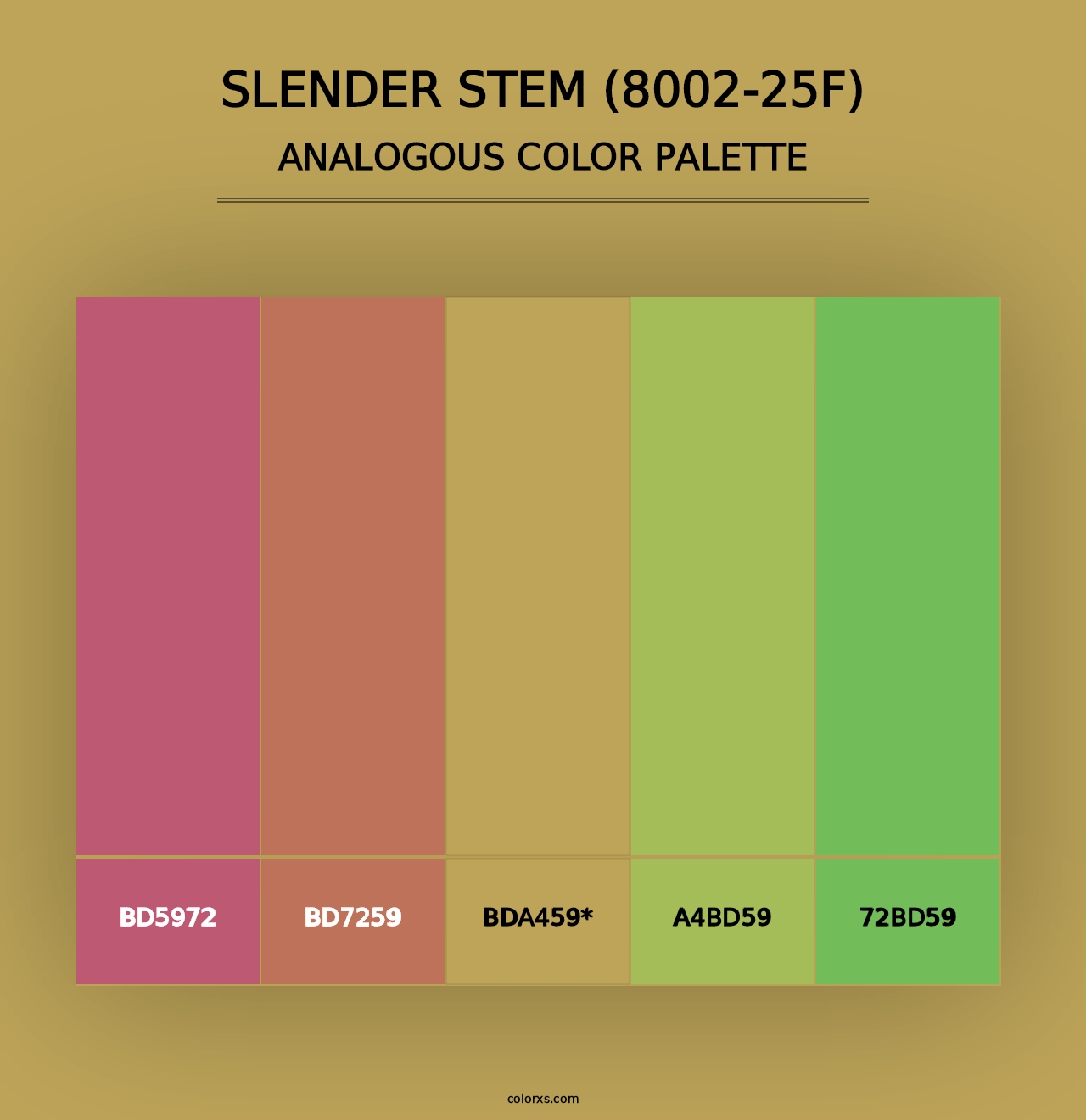 Slender Stem (8002-25F) - Analogous Color Palette