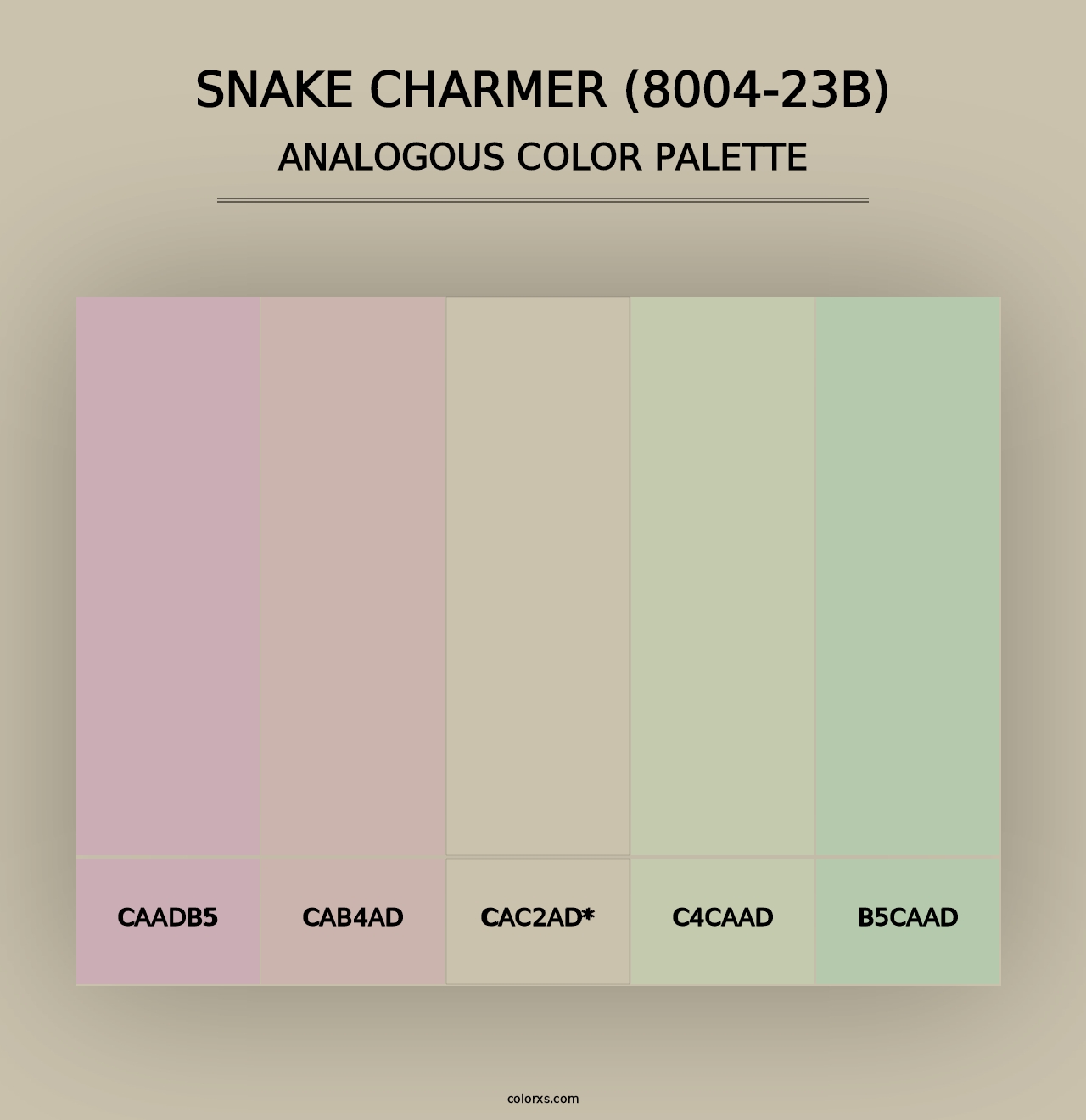 Snake Charmer (8004-23B) - Analogous Color Palette