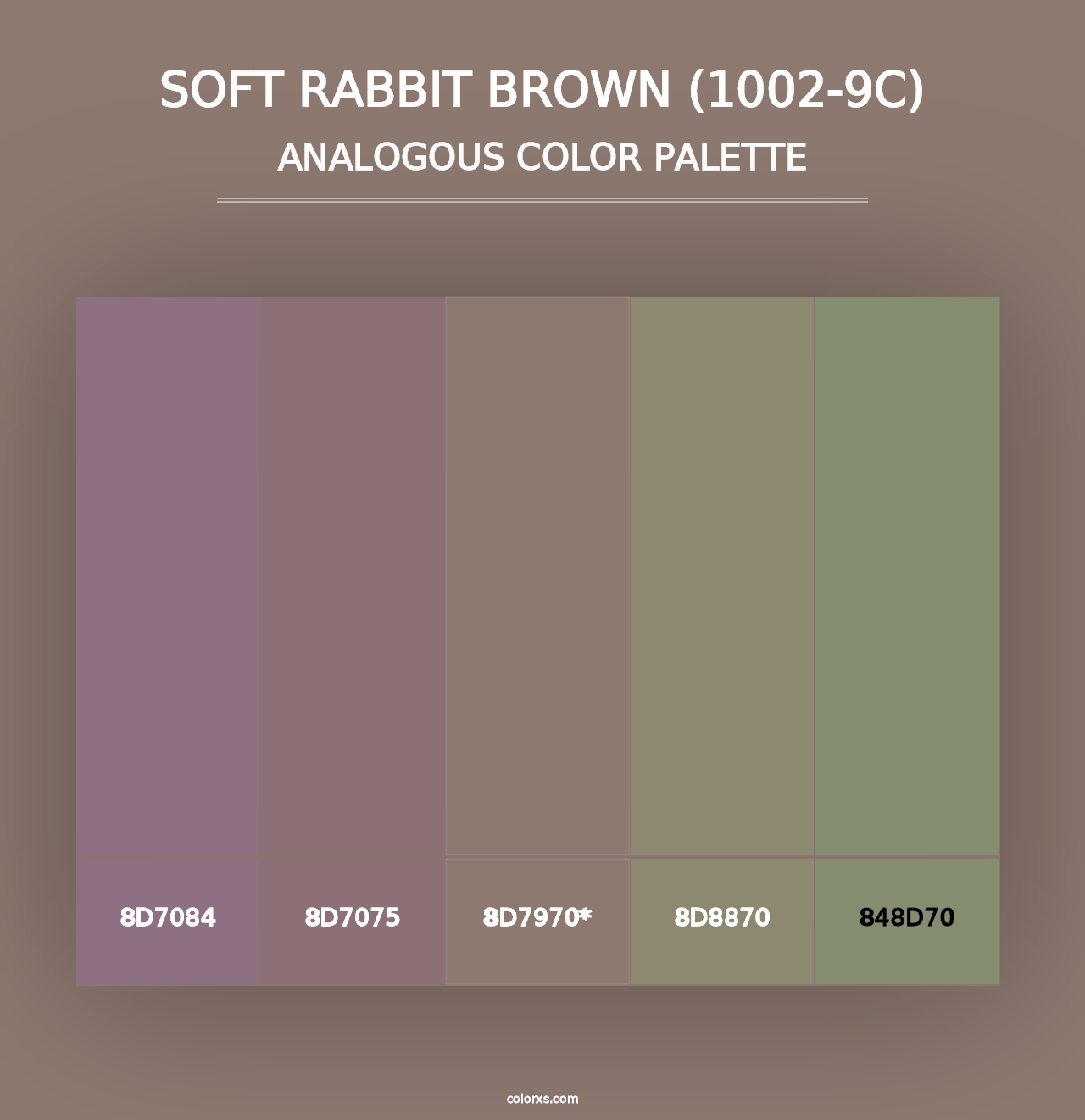 Soft Rabbit Brown (1002-9C) - Analogous Color Palette