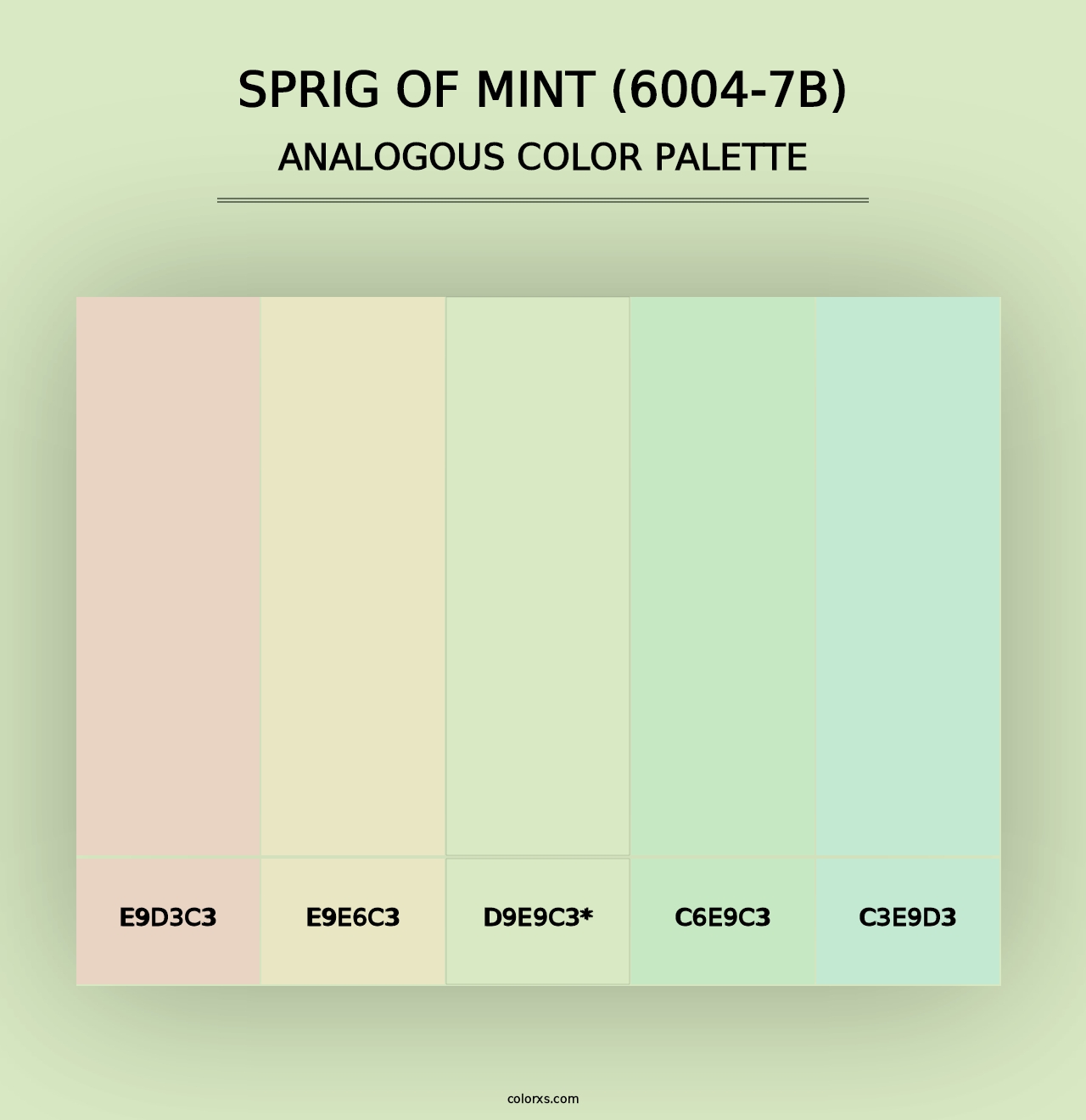 Sprig of Mint (6004-7B) - Analogous Color Palette