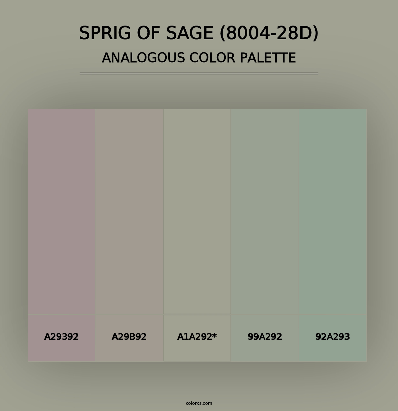 Sprig of Sage (8004-28D) - Analogous Color Palette