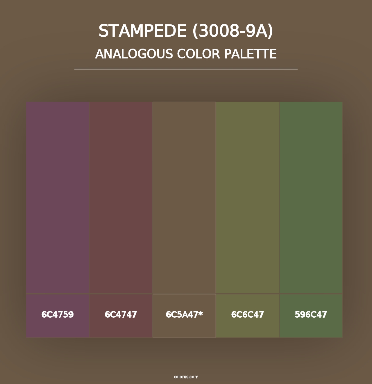 Stampede (3008-9A) - Analogous Color Palette