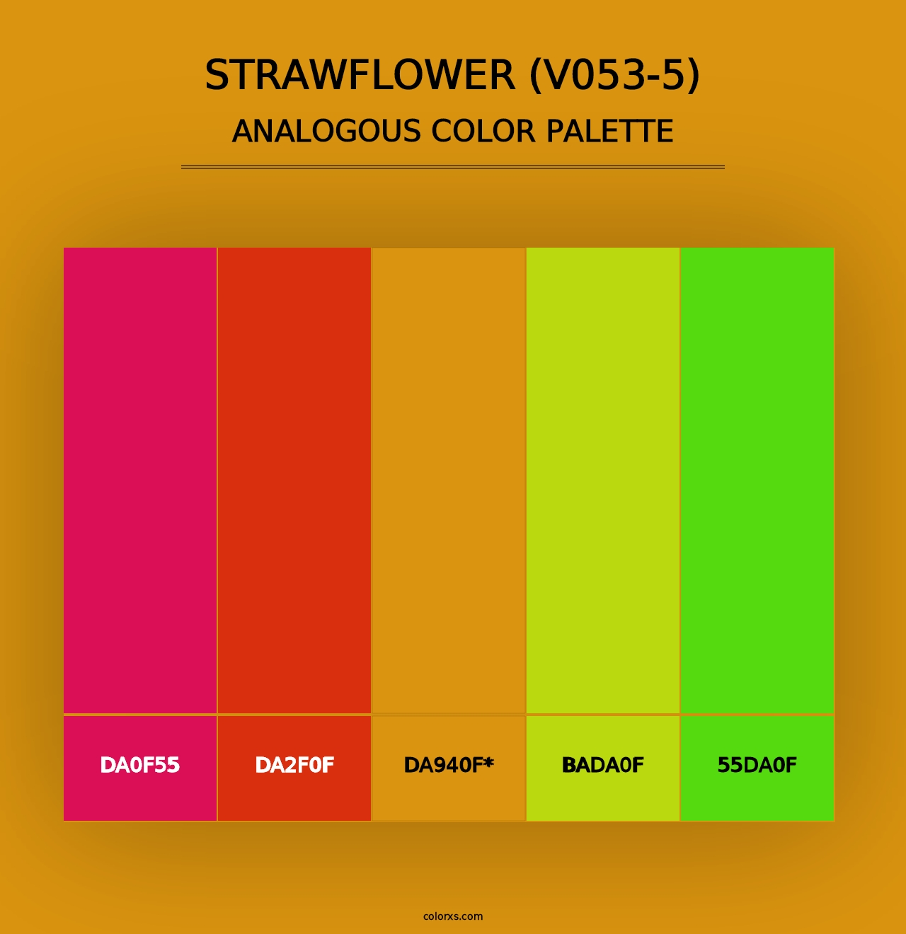 Strawflower (V053-5) - Analogous Color Palette