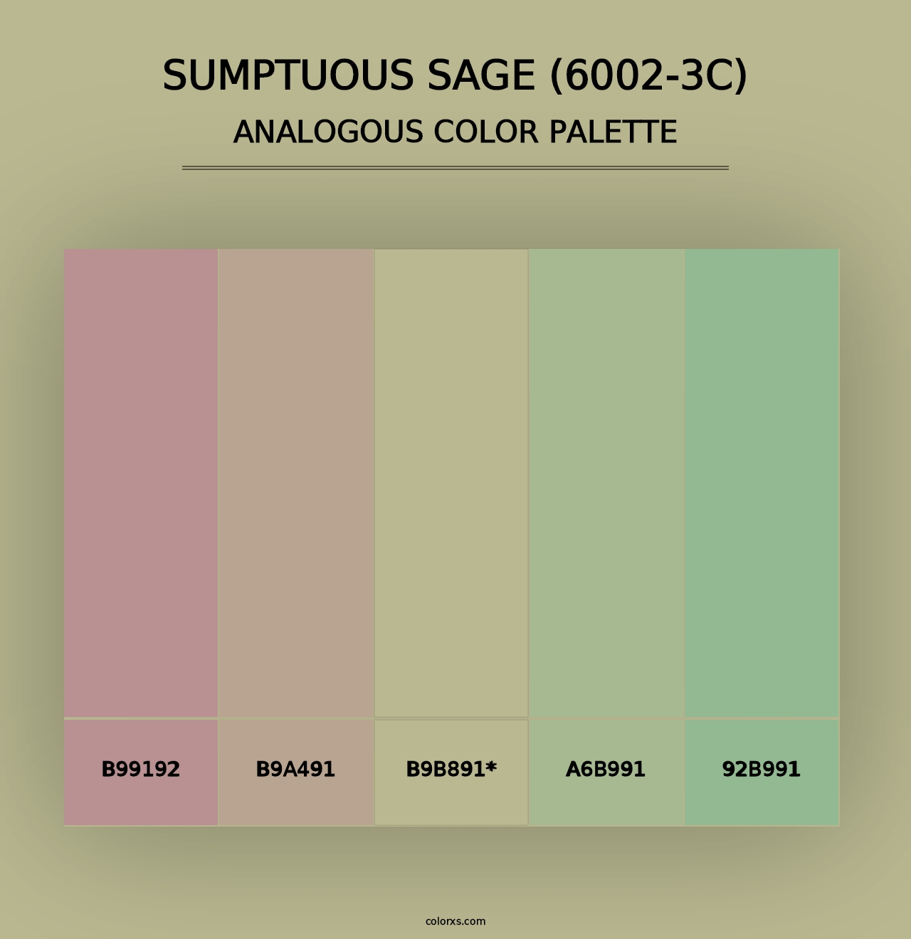 Sumptuous Sage (6002-3C) - Analogous Color Palette