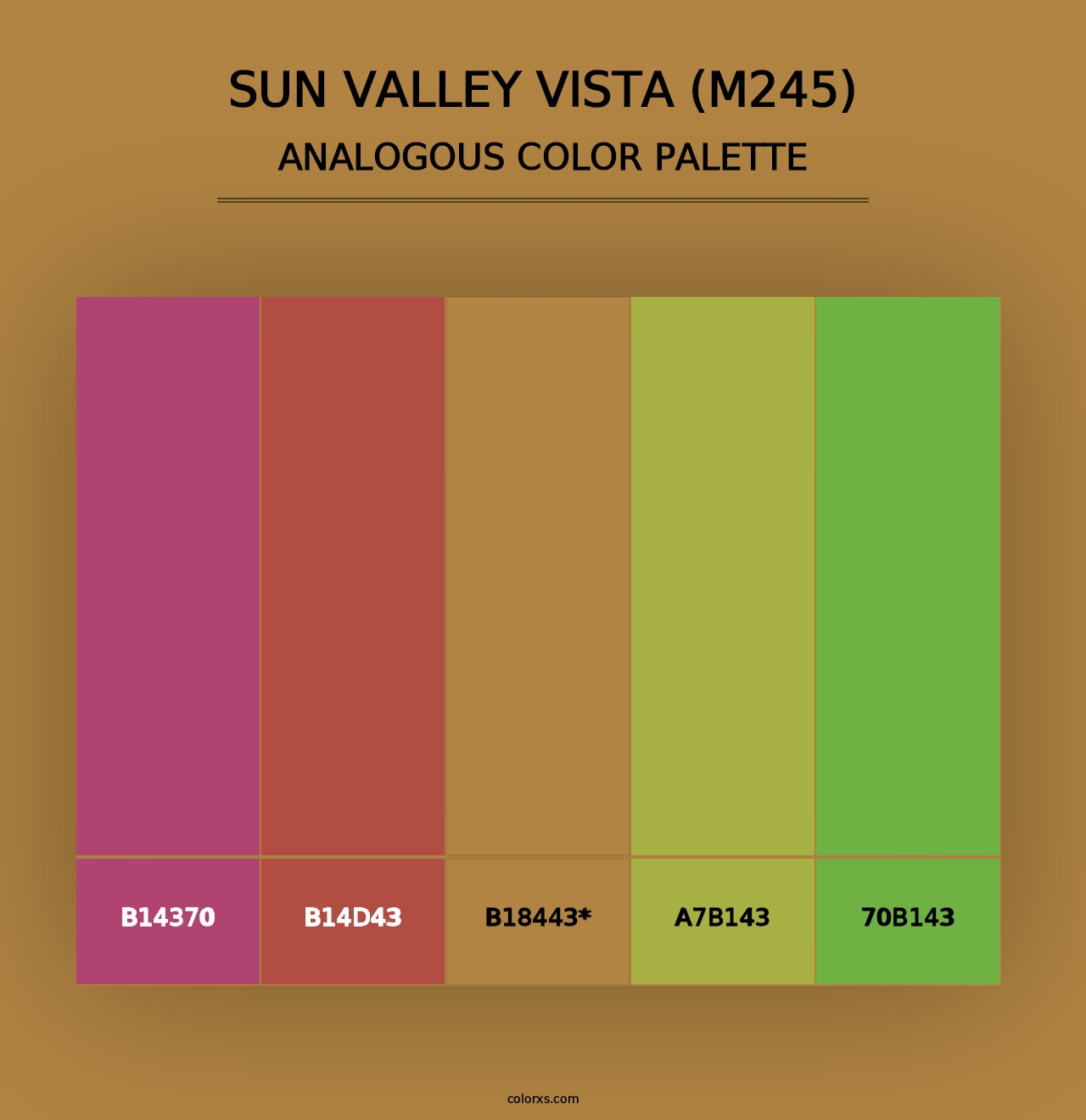 Sun Valley Vista (M245) - Analogous Color Palette