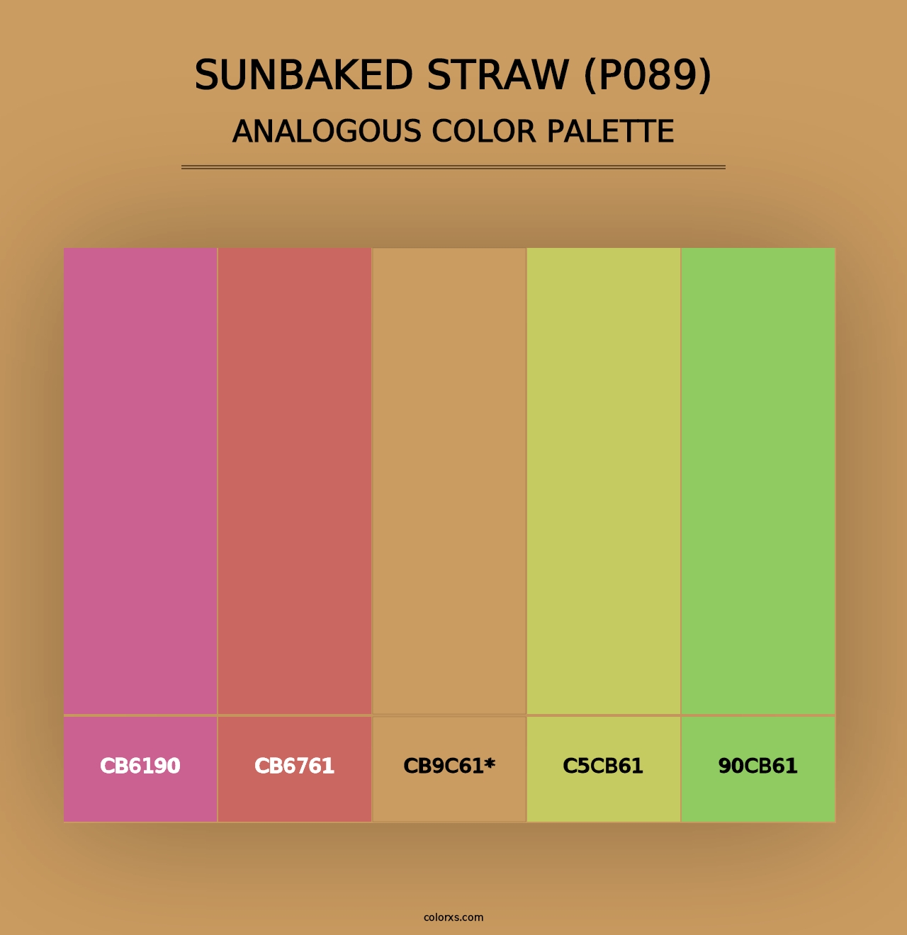 Sunbaked Straw (P089) - Analogous Color Palette