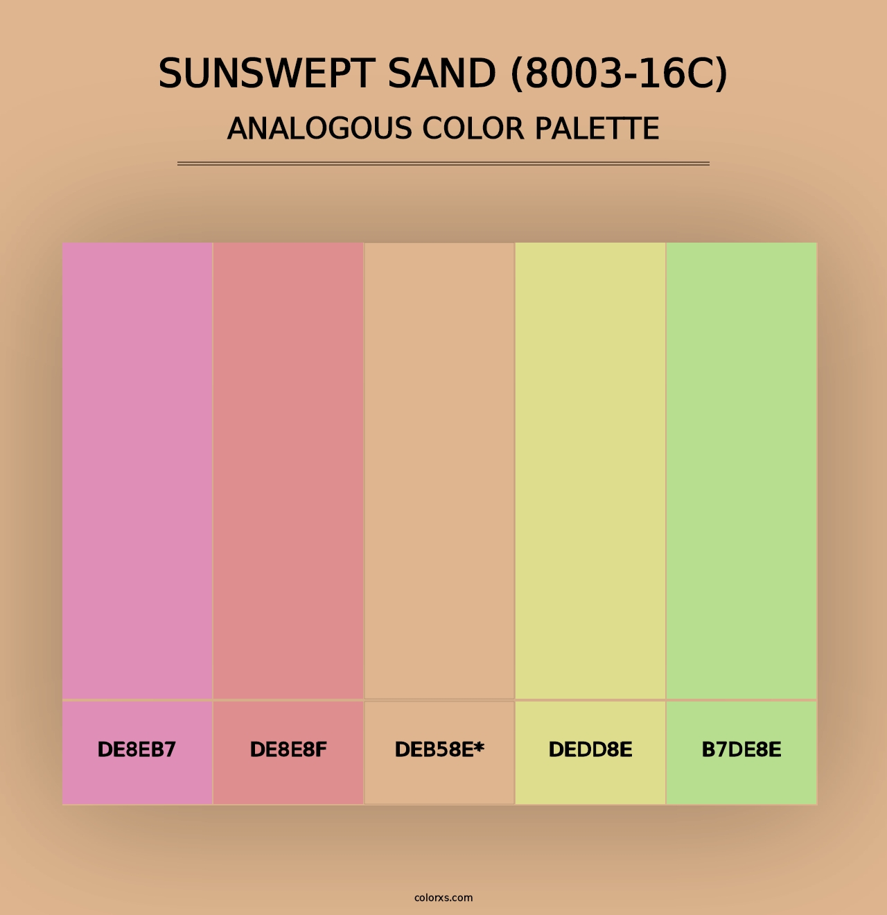 Sunswept Sand (8003-16C) - Analogous Color Palette