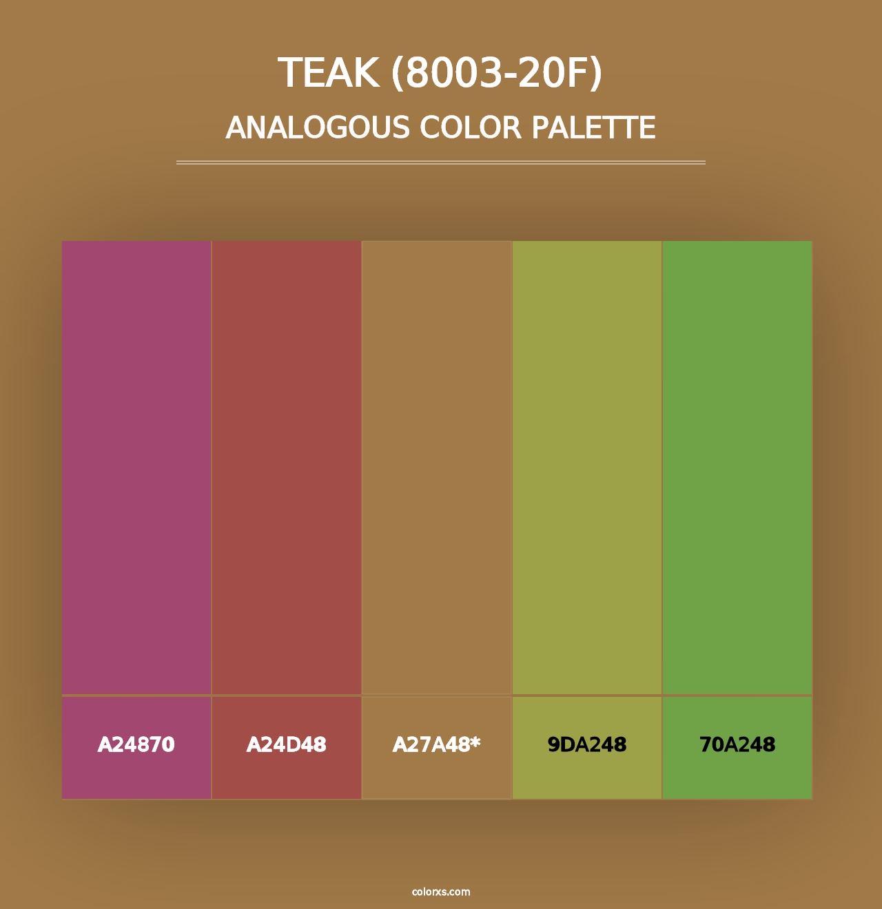 Teak (8003-20F) - Analogous Color Palette