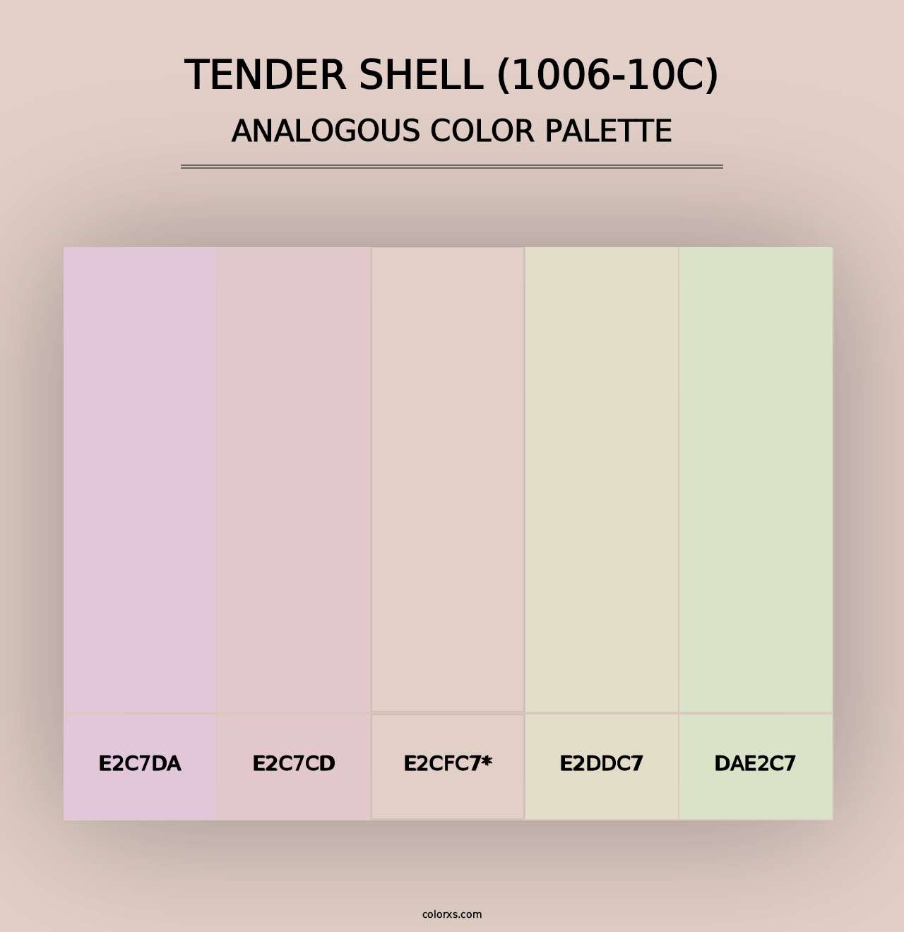 Tender Shell (1006-10C) - Analogous Color Palette