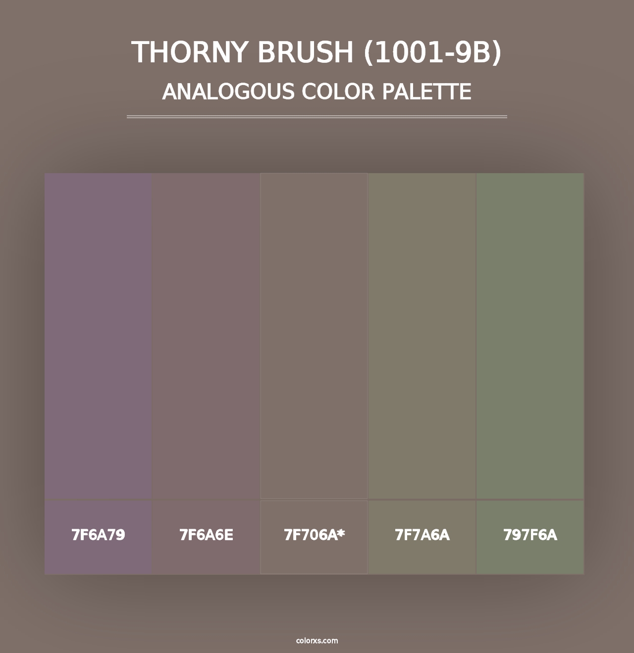 Thorny Brush (1001-9B) - Analogous Color Palette