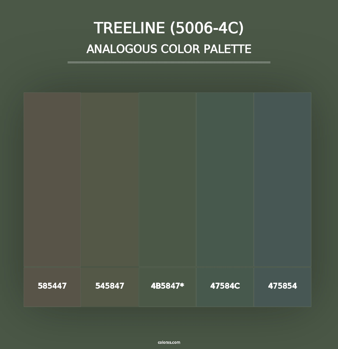 Treeline (5006-4C) - Analogous Color Palette