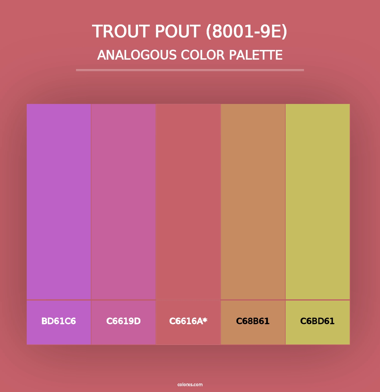 Trout Pout (8001-9E) - Analogous Color Palette