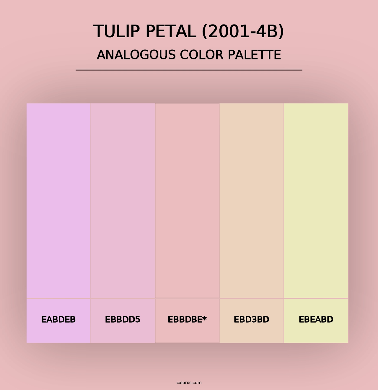 Tulip Petal (2001-4B) - Analogous Color Palette