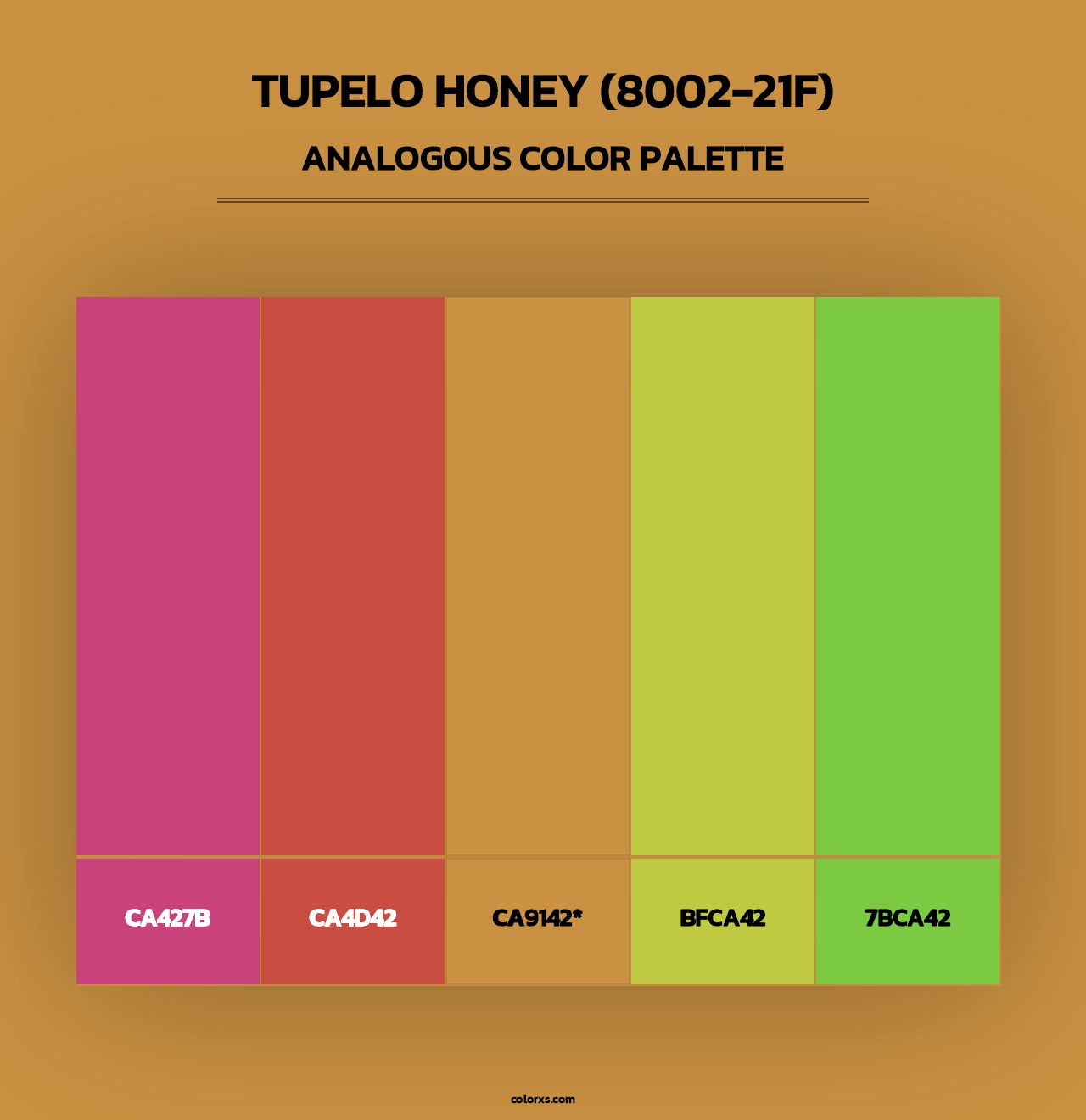 Tupelo Honey (8002-21F) - Analogous Color Palette