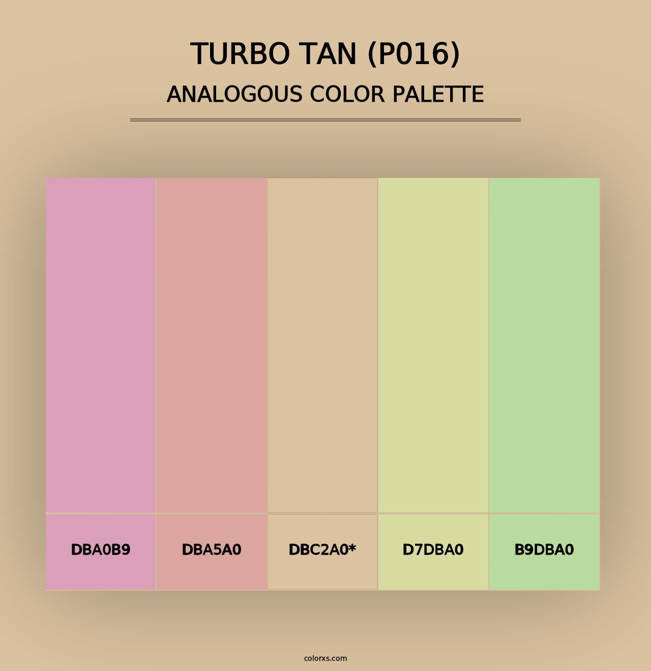 Turbo Tan (P016) - Analogous Color Palette