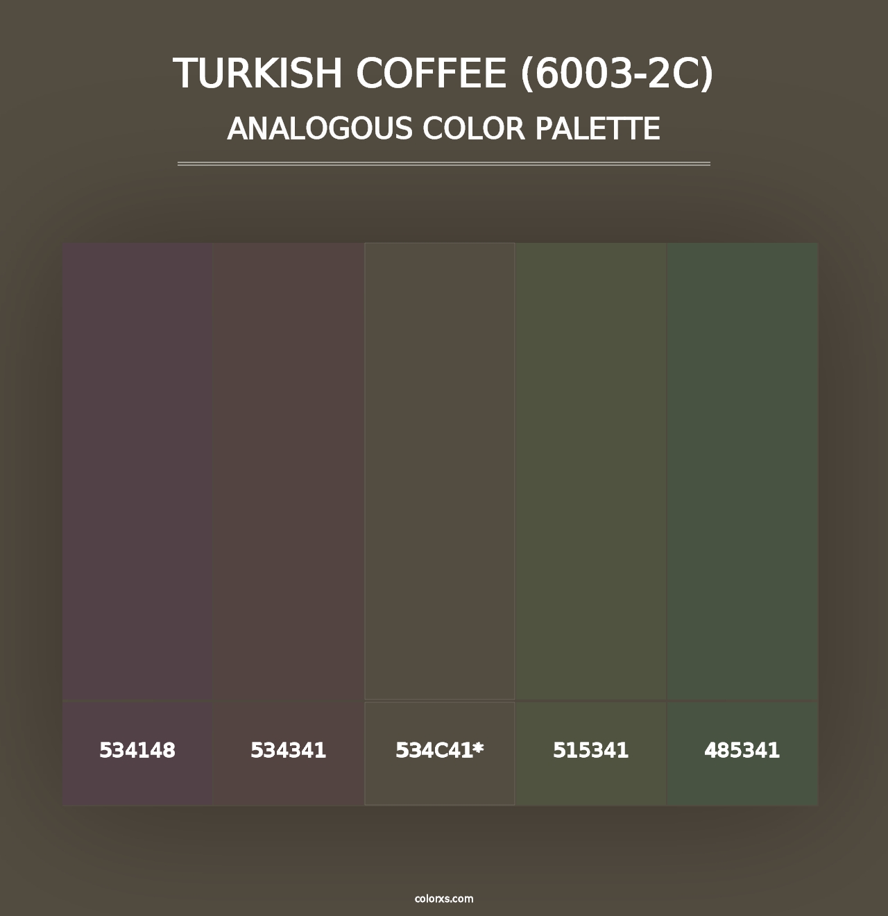 Turkish Coffee (6003-2C) - Analogous Color Palette