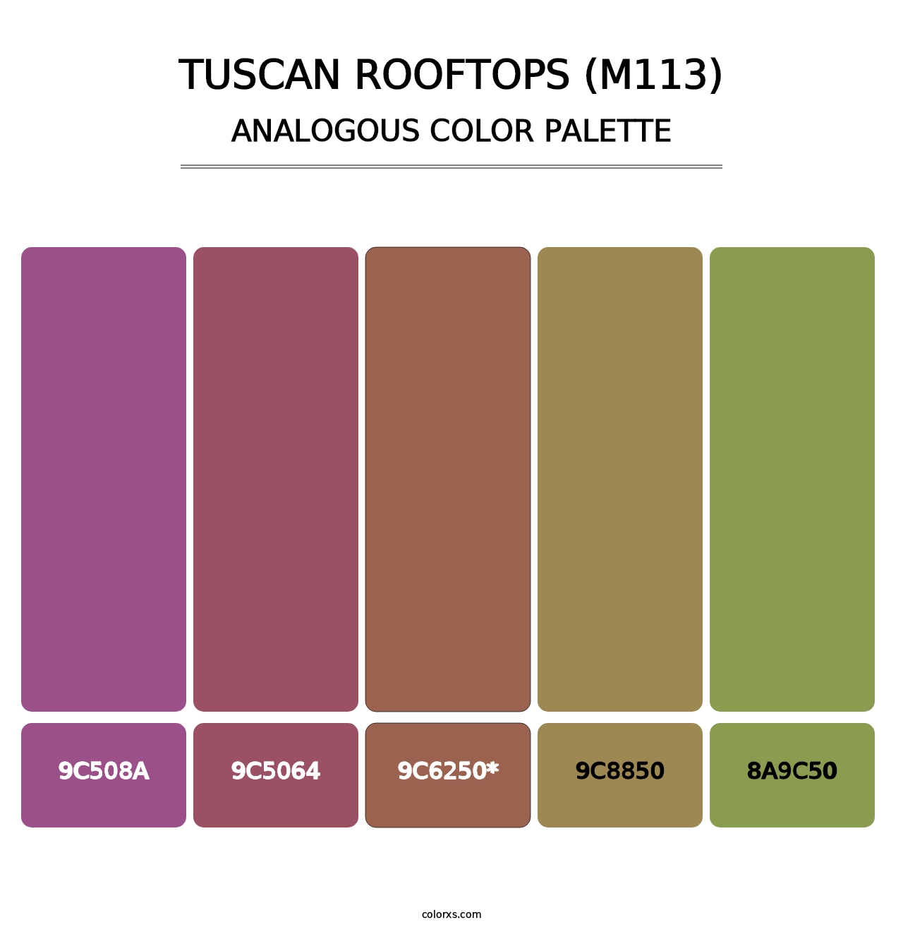 Tuscan Rooftops (M113) - Analogous Color Palette