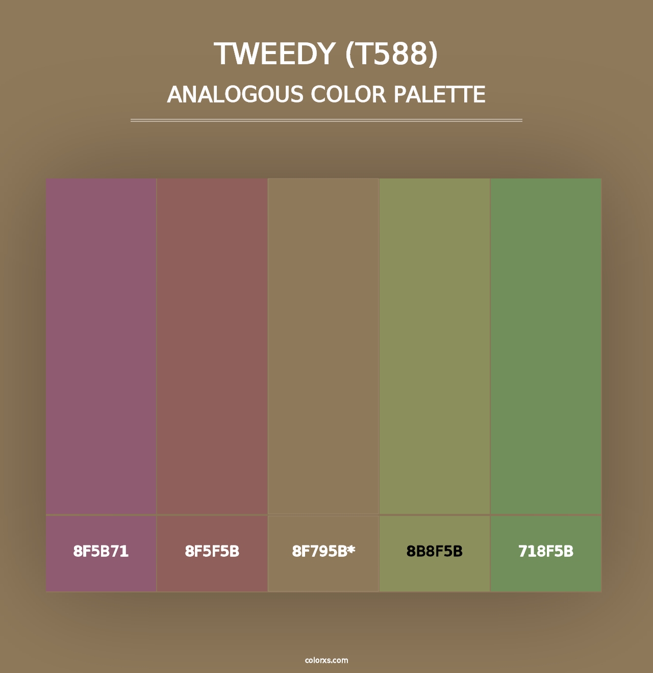 Tweedy (T588) - Analogous Color Palette