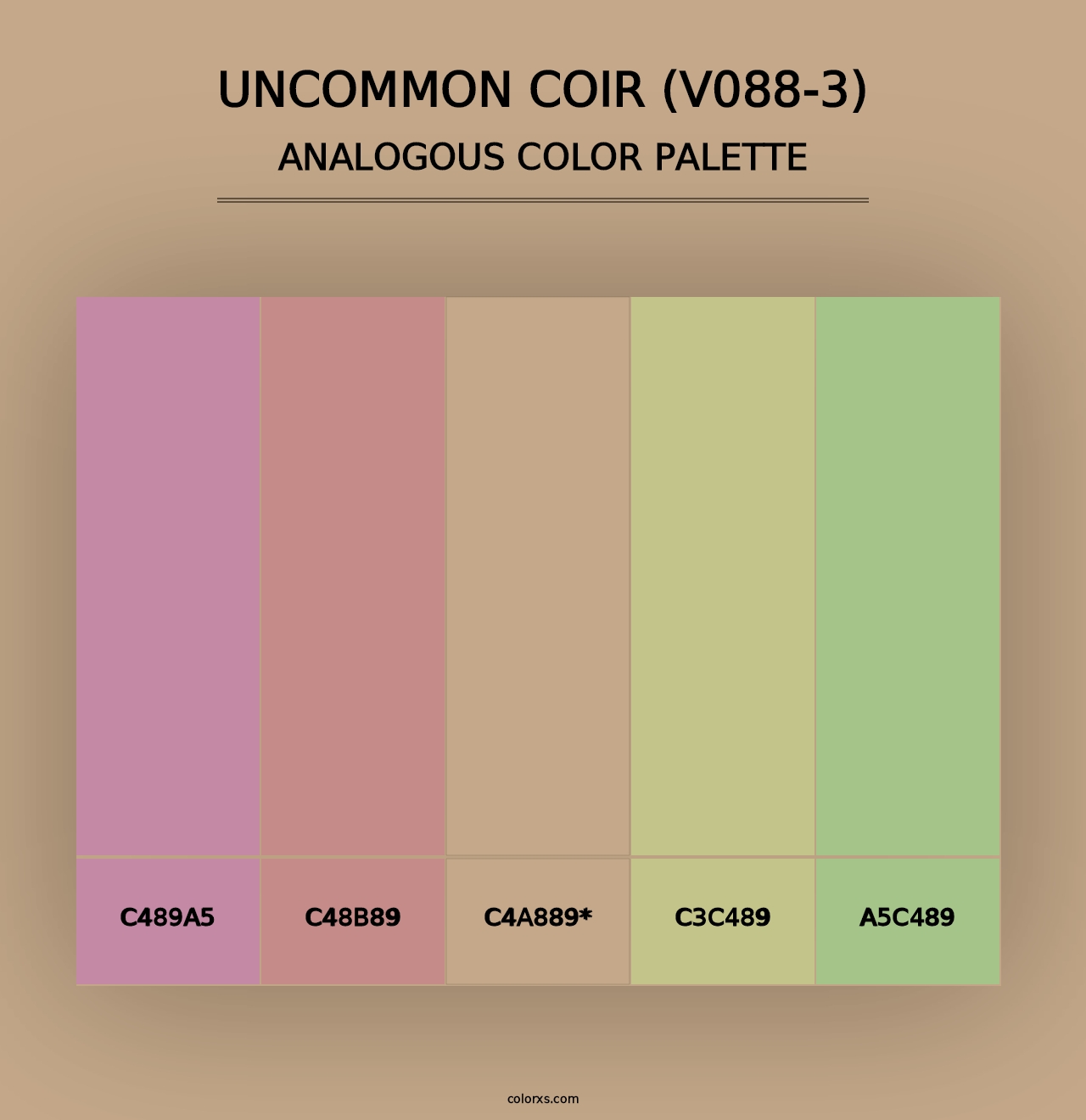 Uncommon Coir (V088-3) - Analogous Color Palette