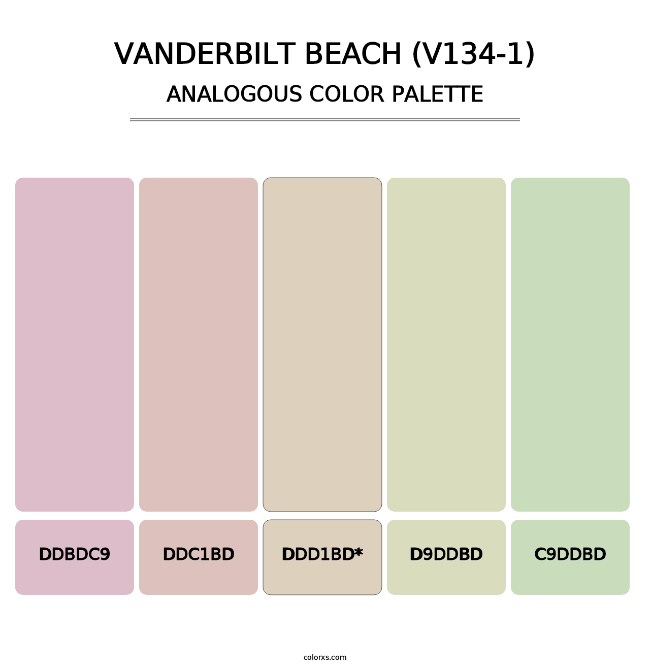 Vanderbilt Beach (V134-1) - Analogous Color Palette