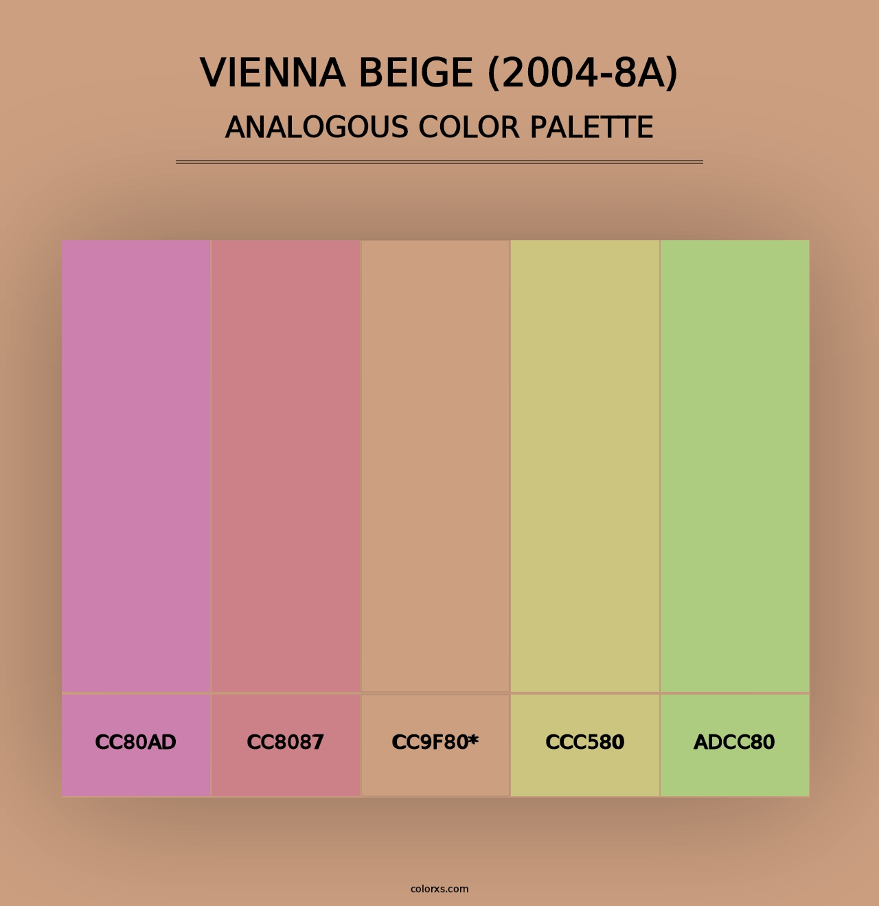 Vienna Beige (2004-8A) - Analogous Color Palette