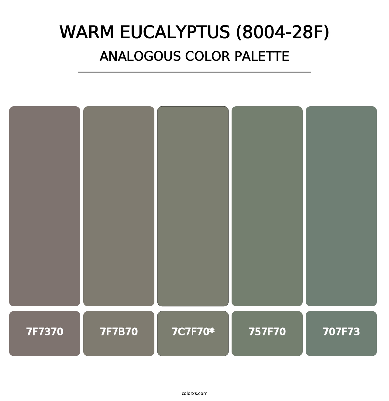 Warm Eucalyptus (8004-28F) - Analogous Color Palette