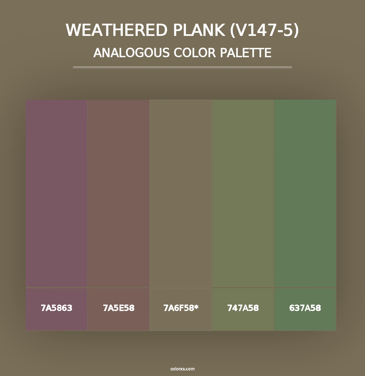 Weathered Plank (V147-5) - Analogous Color Palette