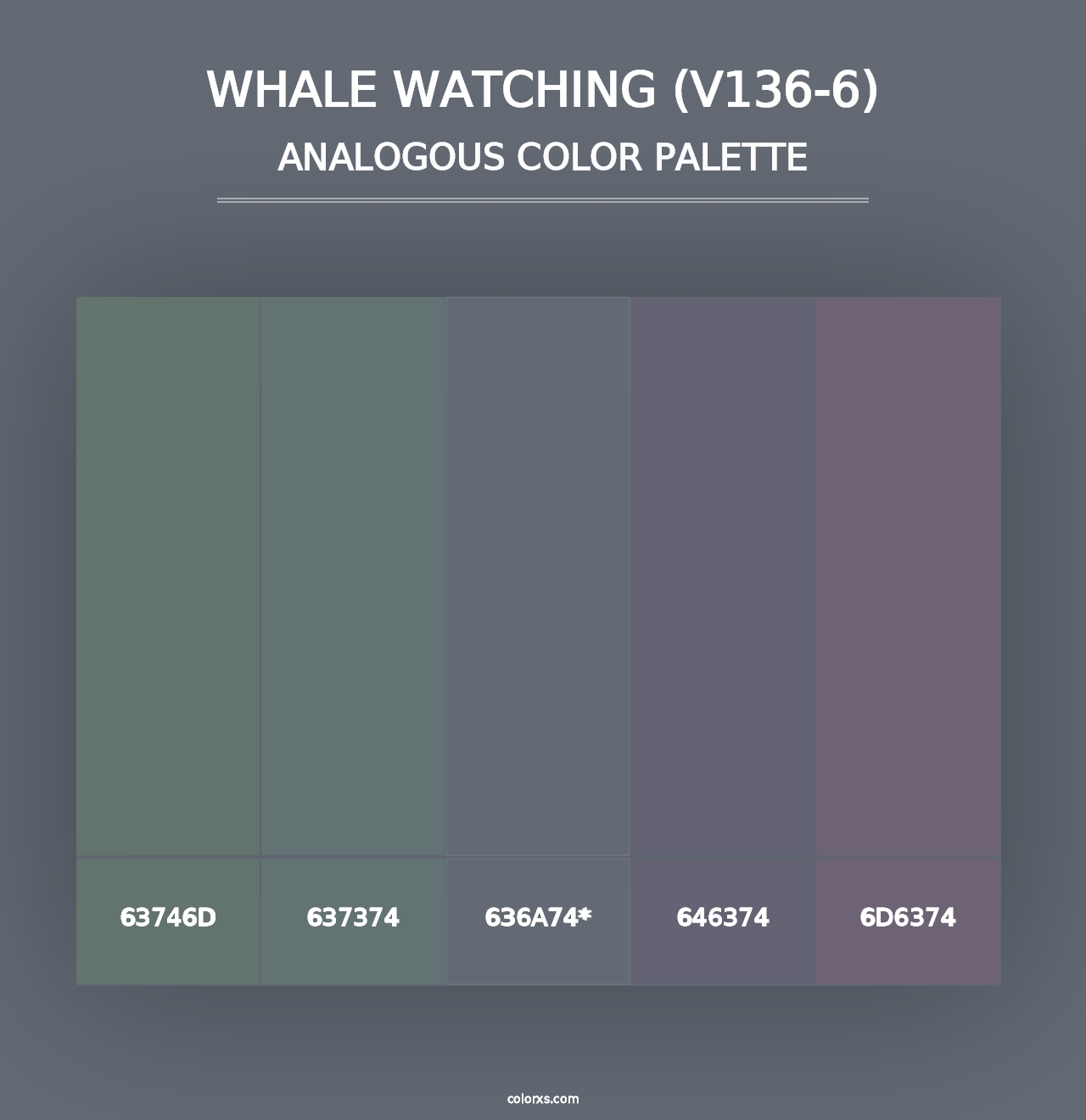 Whale Watching (V136-6) - Analogous Color Palette