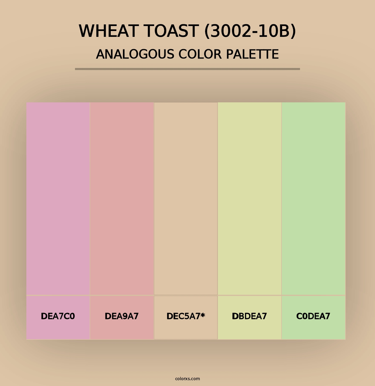 Wheat Toast (3002-10B) - Analogous Color Palette