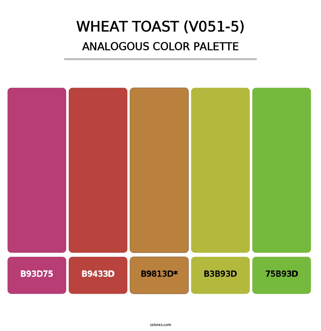 Wheat Toast (V051-5) - Analogous Color Palette