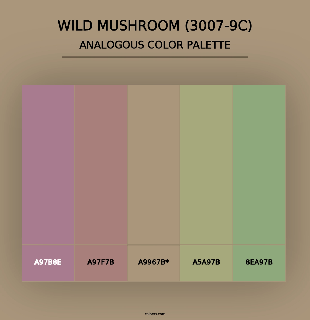 Wild Mushroom (3007-9C) - Analogous Color Palette