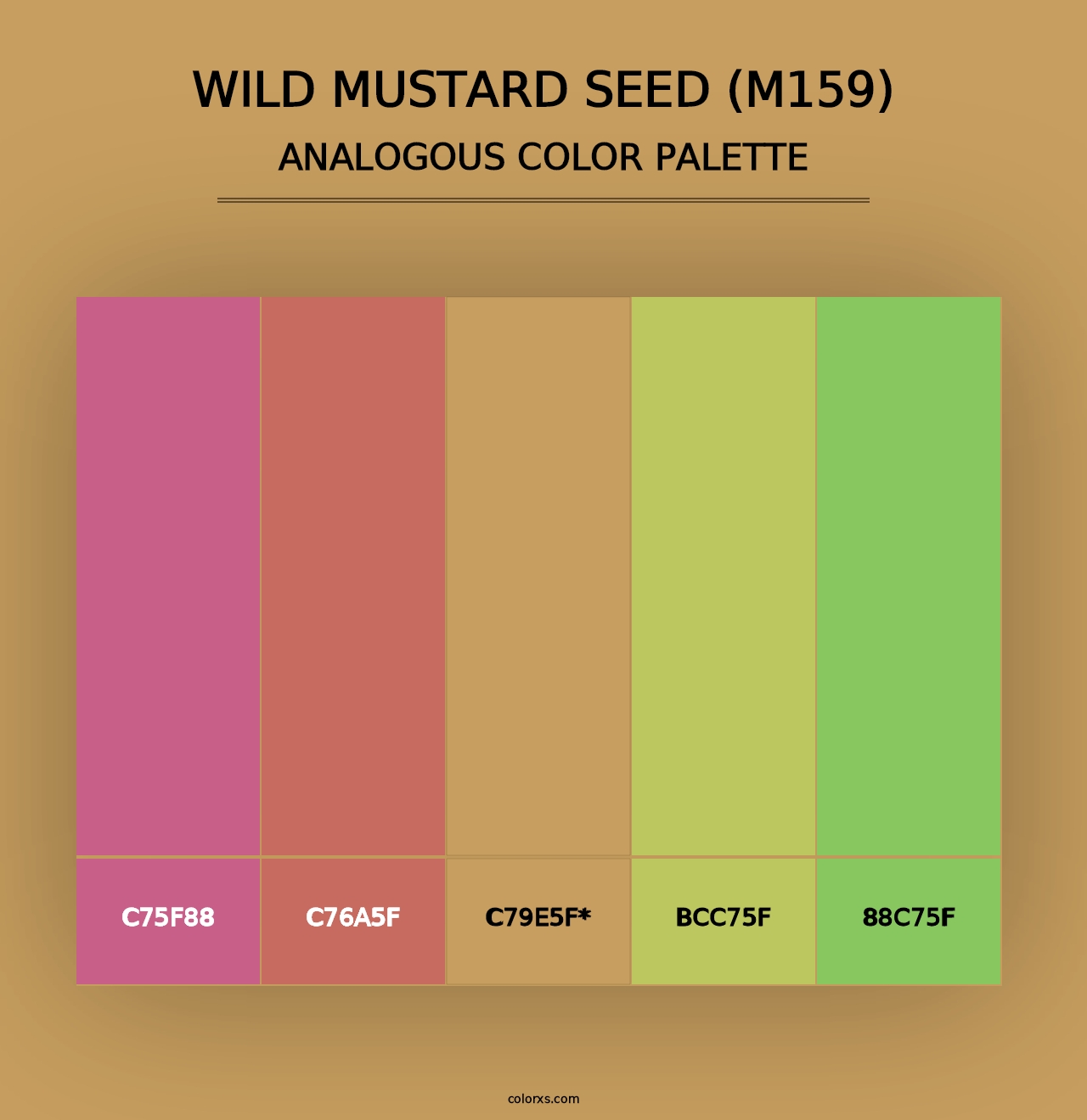 Wild Mustard Seed (M159) - Analogous Color Palette