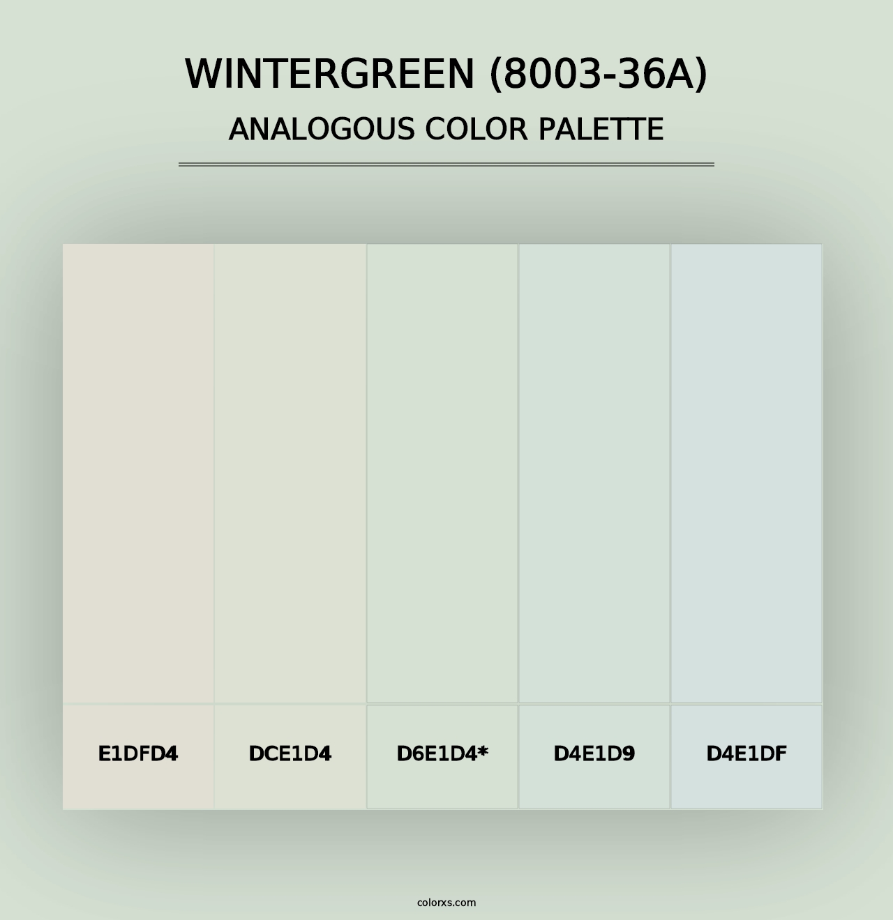 Wintergreen (8003-36A) - Analogous Color Palette