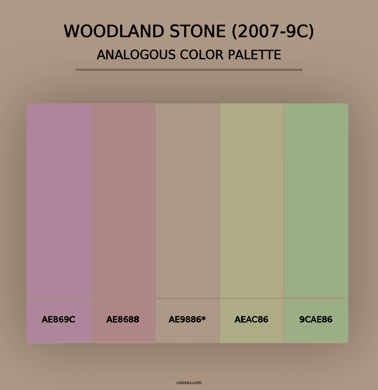 Woodland Stone (2007-9C) - Analogous Color Palette