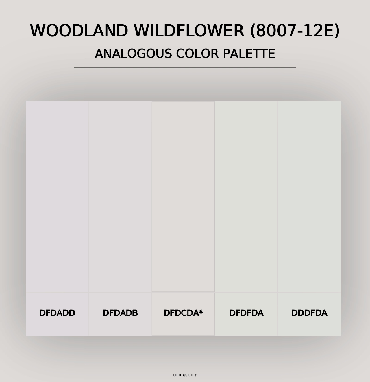 Woodland Wildflower (8007-12E) - Analogous Color Palette