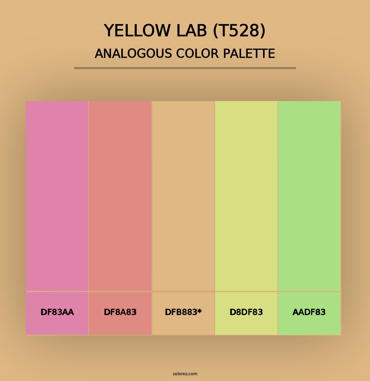 Yellow Lab (T528) - Analogous Color Palette