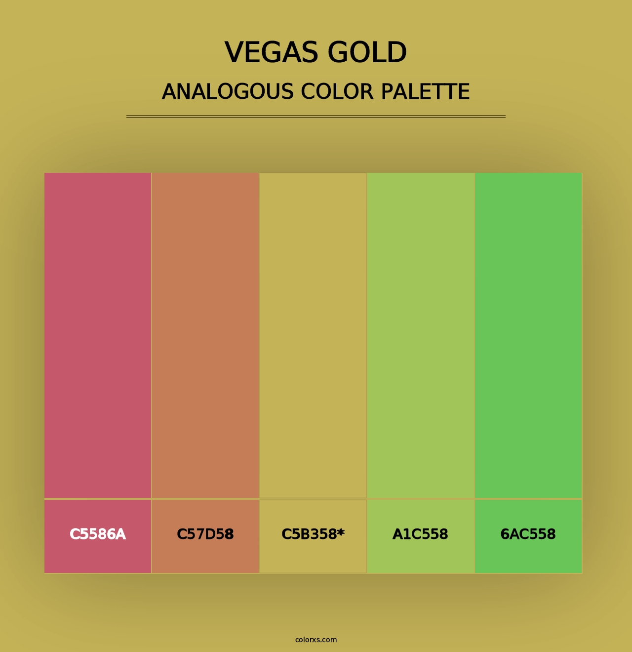 Vegas Gold - Analogous Color Palette