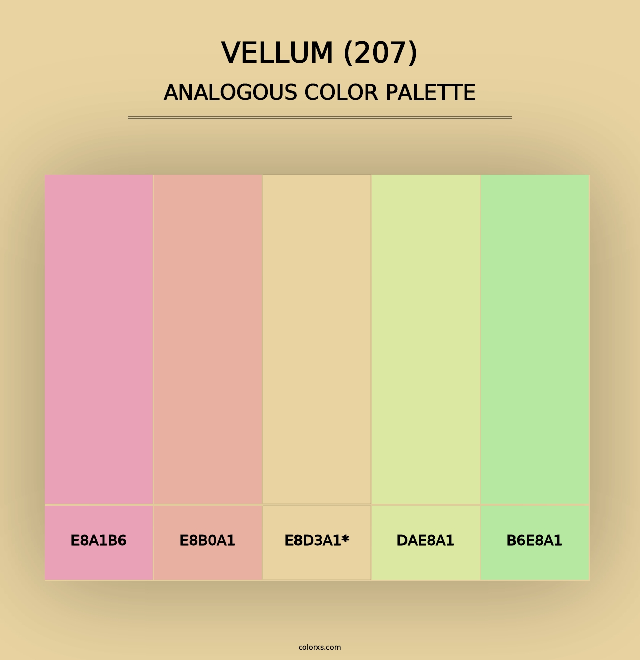 Vellum (207) - Analogous Color Palette