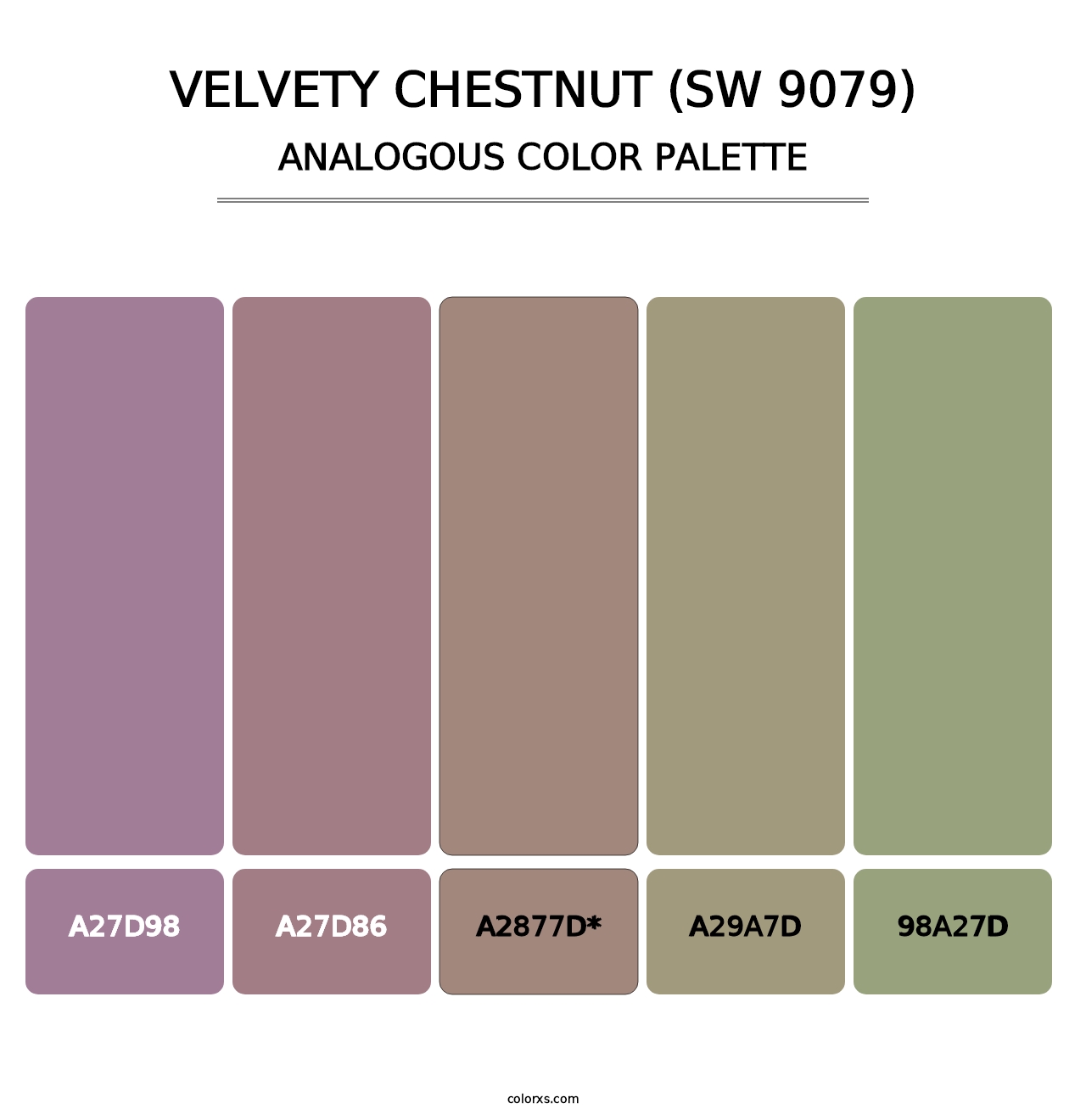 Velvety Chestnut (SW 9079) - Analogous Color Palette