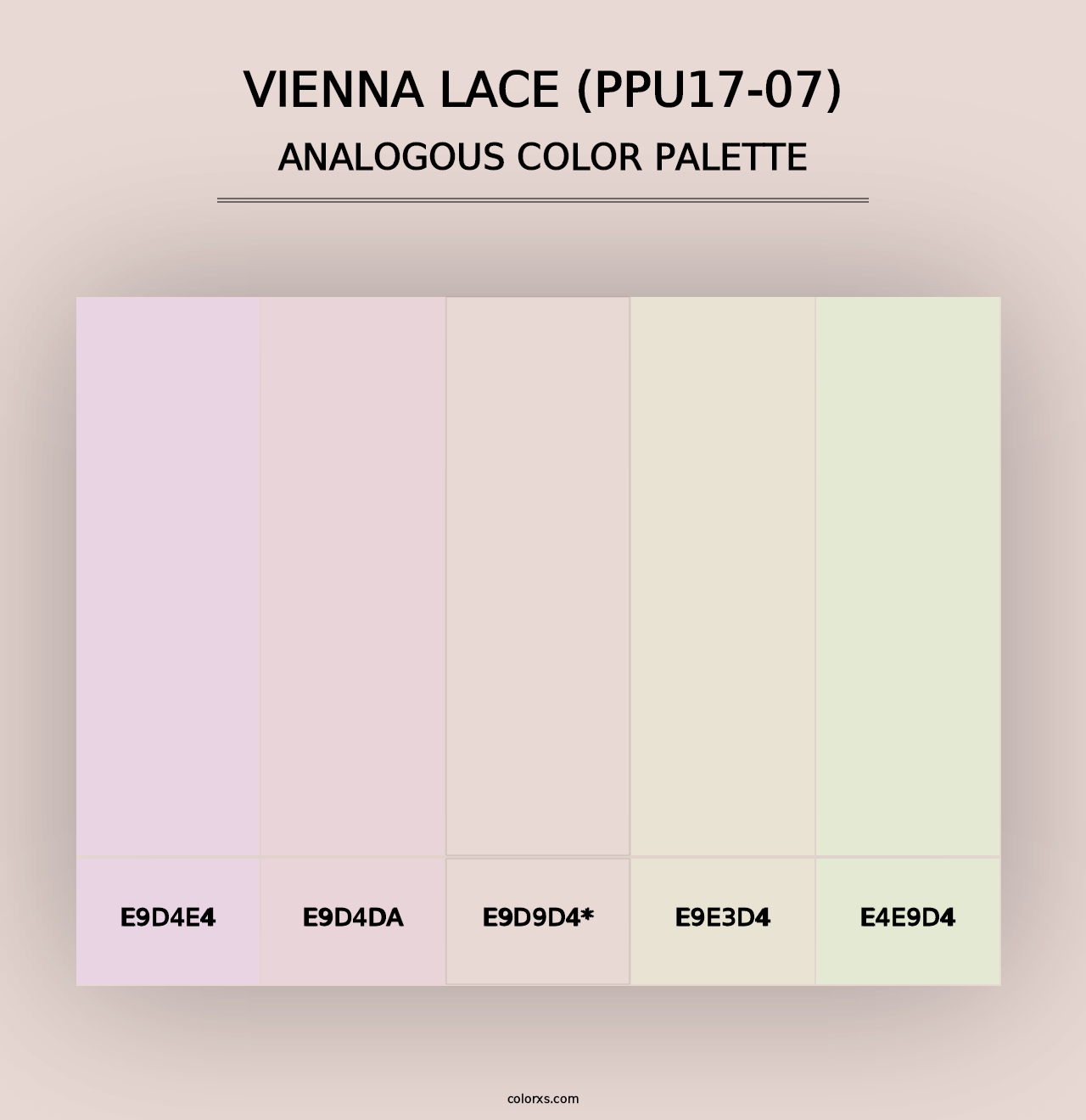 Vienna Lace (PPU17-07) - Analogous Color Palette