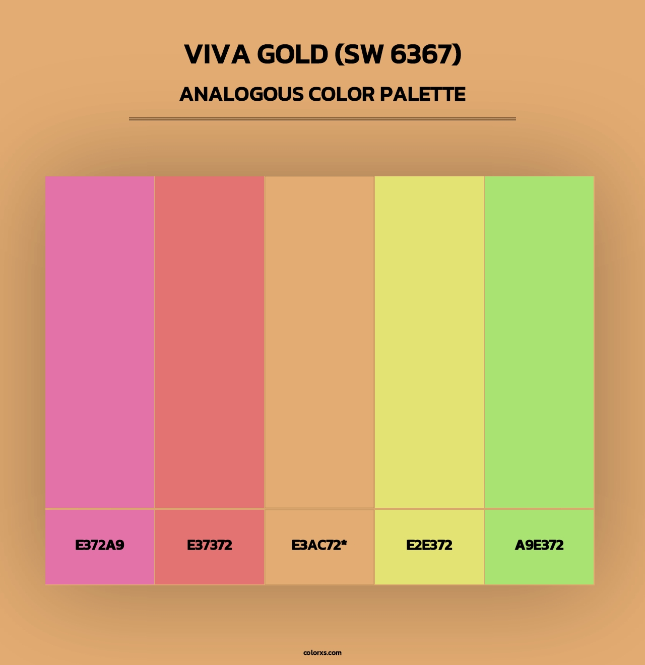 Viva Gold (SW 6367) - Analogous Color Palette