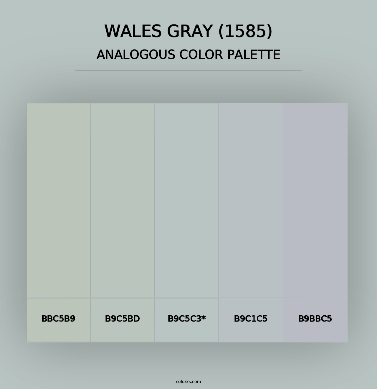 Wales Gray (1585) - Analogous Color Palette