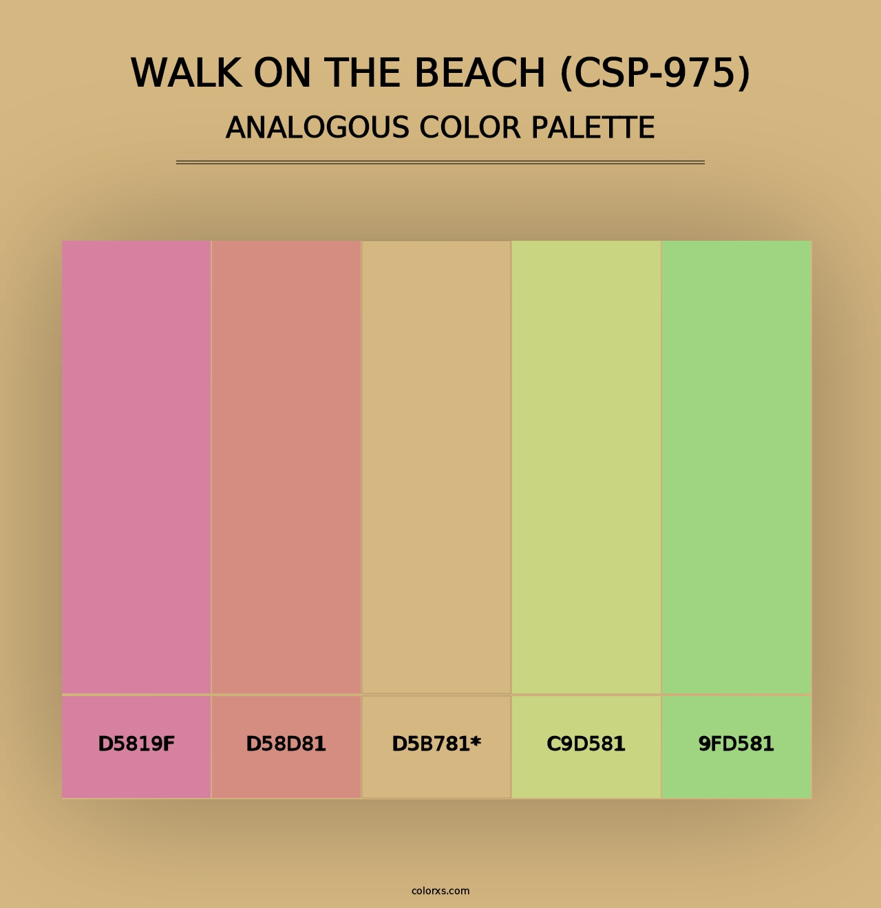 Walk on the Beach (CSP-975) - Analogous Color Palette