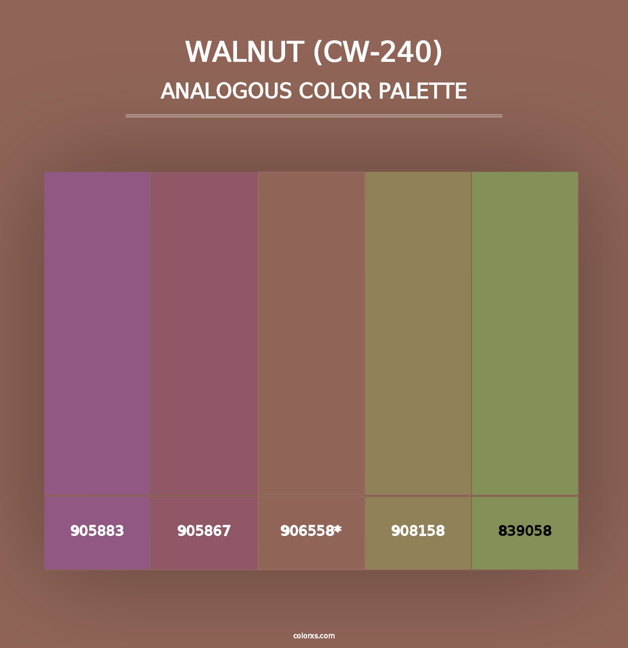 Walnut (CW-240) - Analogous Color Palette