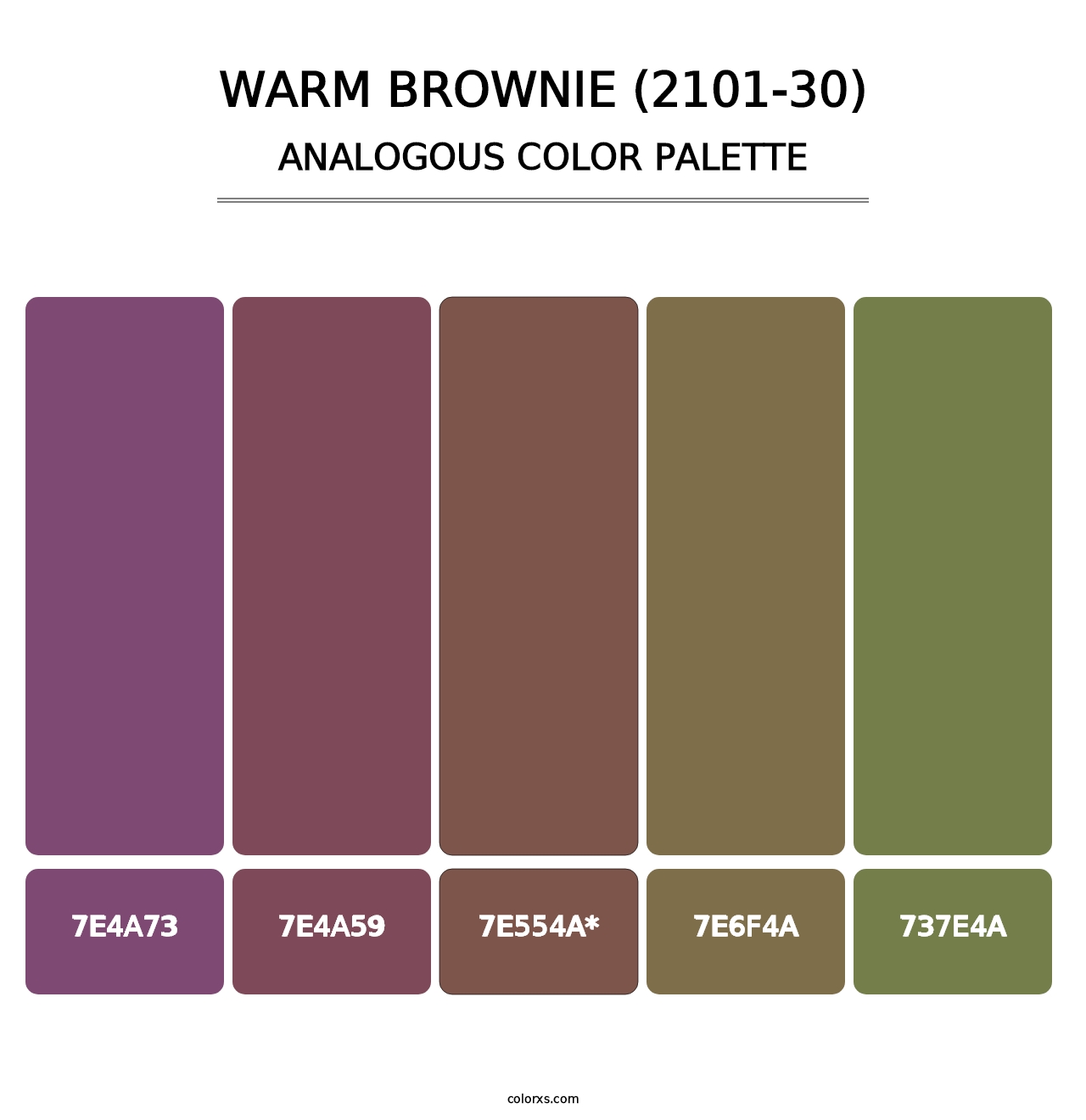 Warm Brownie (2101-30) - Analogous Color Palette