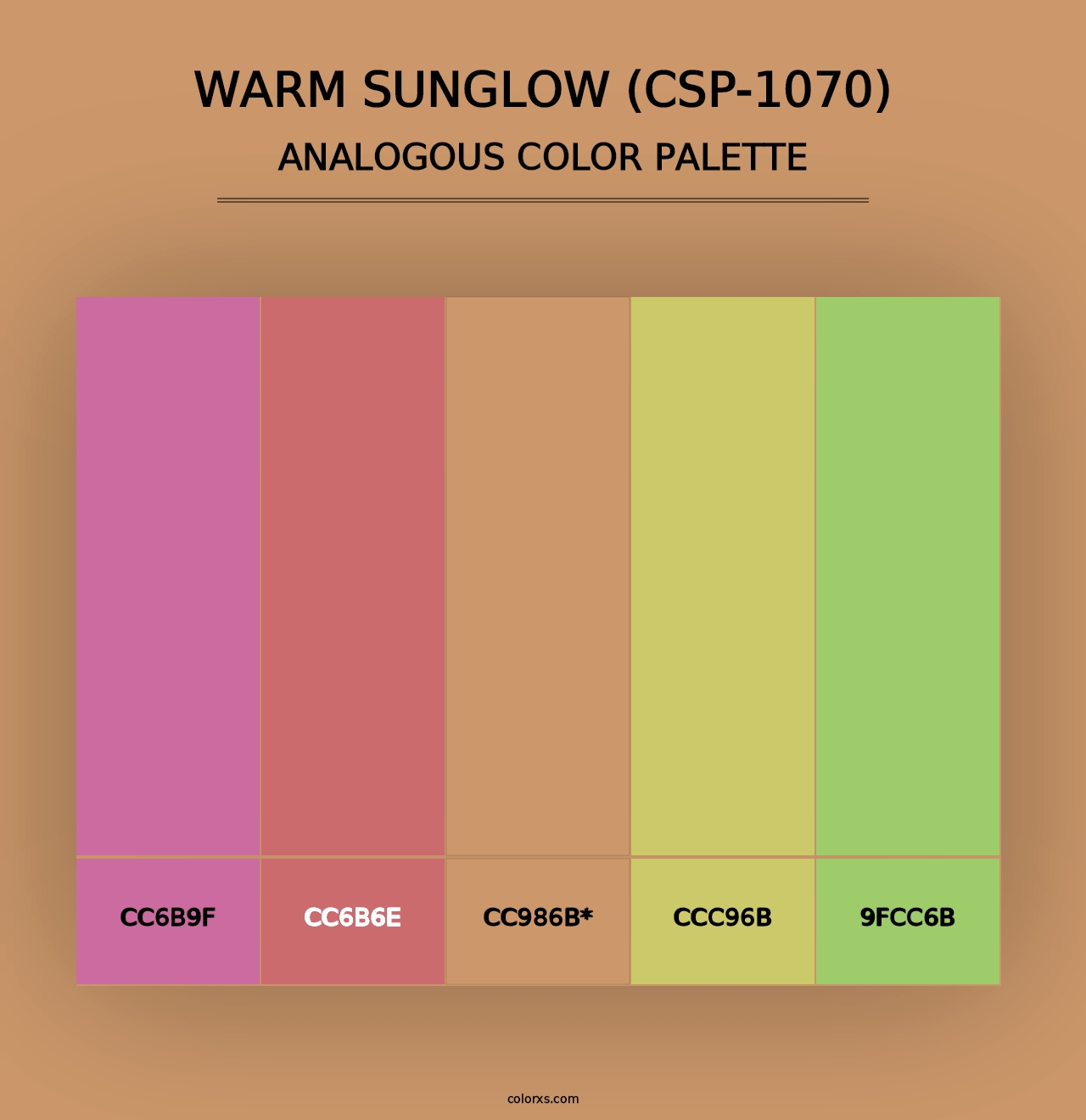 Warm Sunglow (CSP-1070) - Analogous Color Palette