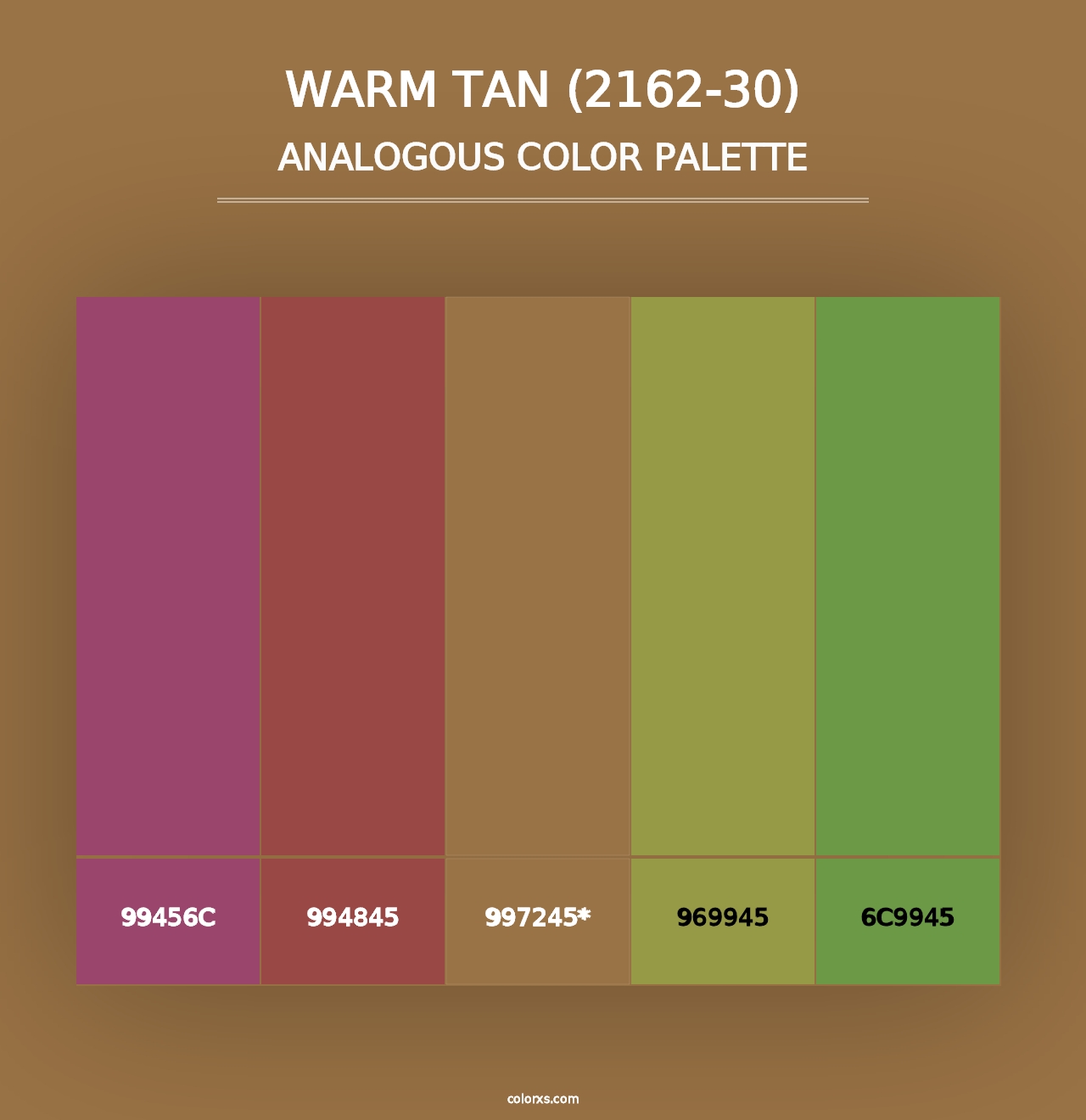 Warm Tan (2162-30) - Analogous Color Palette