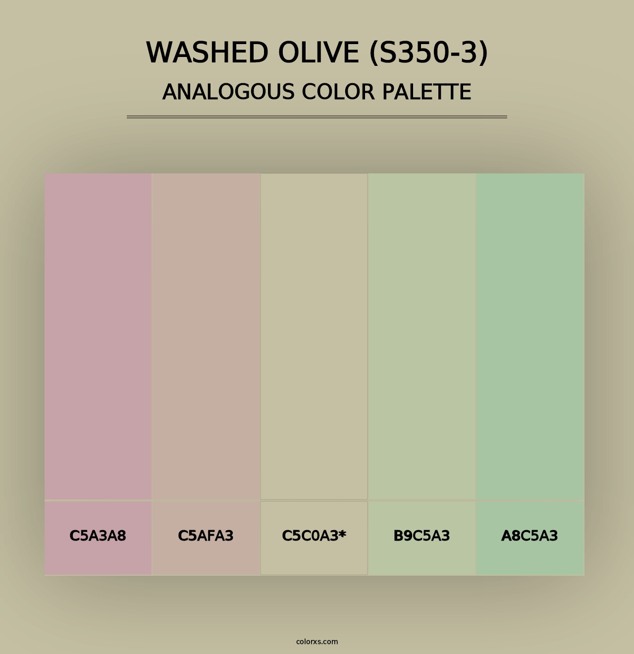 Washed Olive (S350-3) - Analogous Color Palette