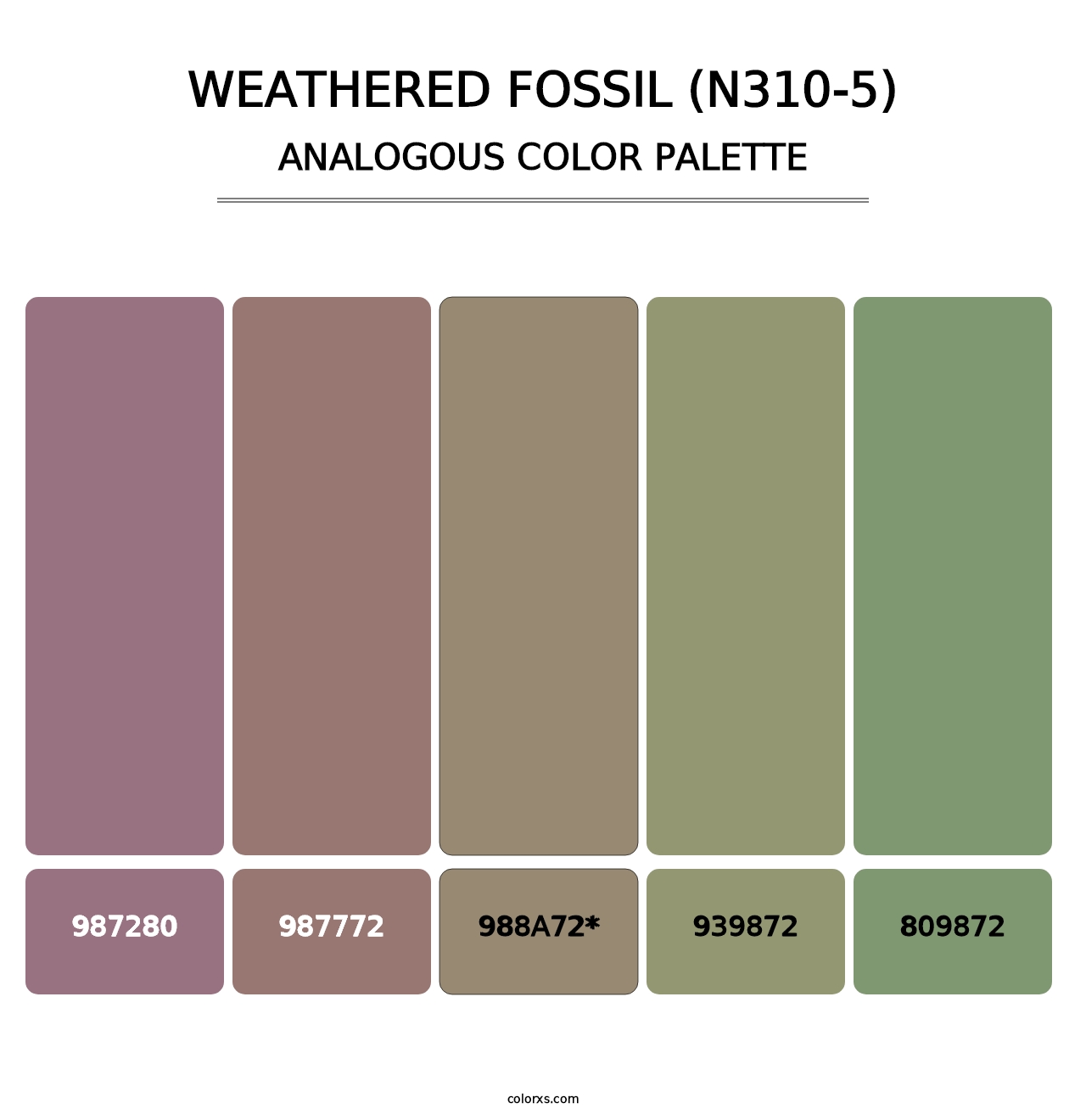 Weathered Fossil (N310-5) - Analogous Color Palette