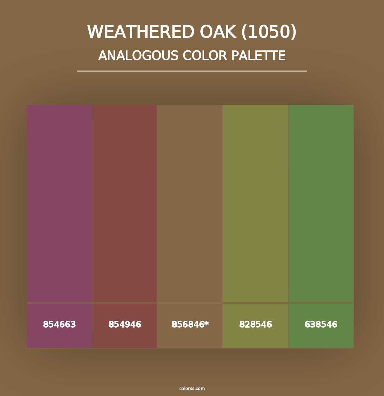 Weathered Oak (1050) - Analogous Color Palette